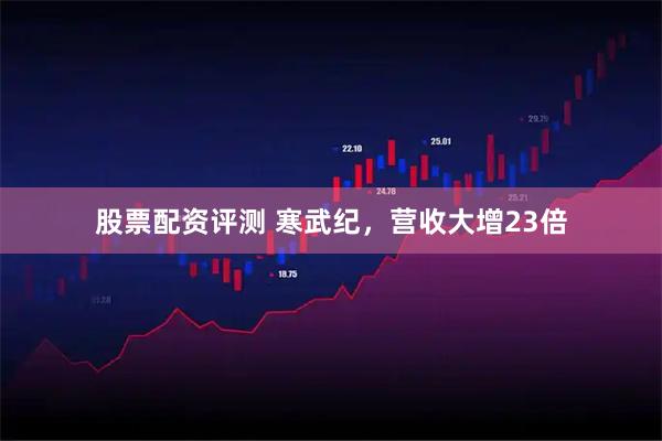 股票配资评测 寒武纪，营收大增23倍