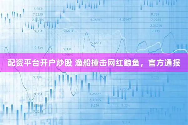 配资平台开户炒股 渔船撞击网红鲸鱼，官方通报